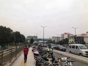 张江街头爆料案件最新,警方全力追查真相 第1张 张江街头爆料案件最新,警方全力追查真相 第1张