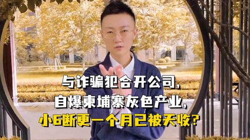 柬埔寨爆料博主诈骗视频,揭秘网络诈骗背后的真相  第2张 柬埔寨爆料博主诈骗视频,揭秘网络诈骗背后的真相  第2张