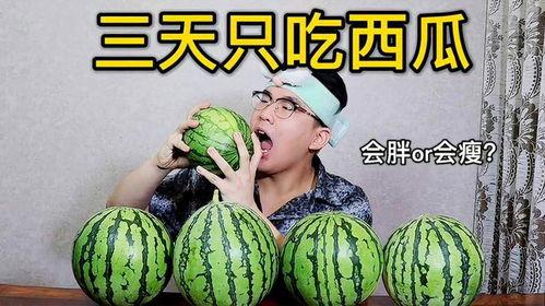 吃瓜王第三季全集免费,揭秘娱乐圈风云,免费观看全集大揭秘